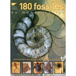 Achat 180 fossiles du monde...