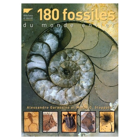 Achat 180 fossiles du monde entier - Delachaux