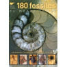 Achat 180 fossiles du monde entier - Delachaux