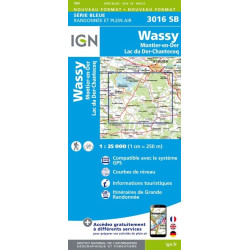 Wassy, Lac du Der Chantecoq - IGN - 3016 SB