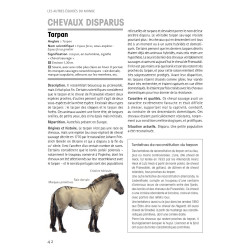 Guide des chevaux d'Europe - Delachaux