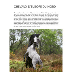 Guide des chevaux d'Europe - Delachaux
