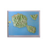 Carte en relief - Tahiti - 60104