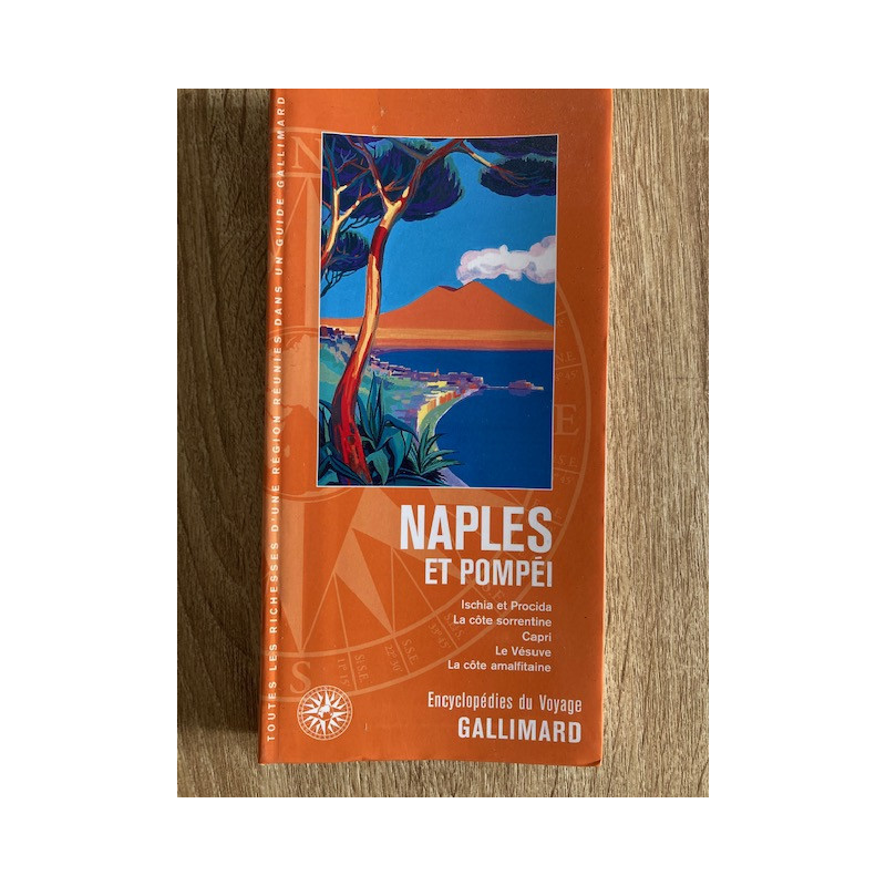 Achat guide Naples et Pompéi - Guide Gallimard Achat guide Naples et Pompéi - Guide Gallimard