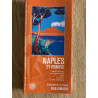 Achat guide Naples et Pompéi - Guide Gallimard