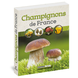 Carte randonnée CHAMPIGNONS DE FRANCE