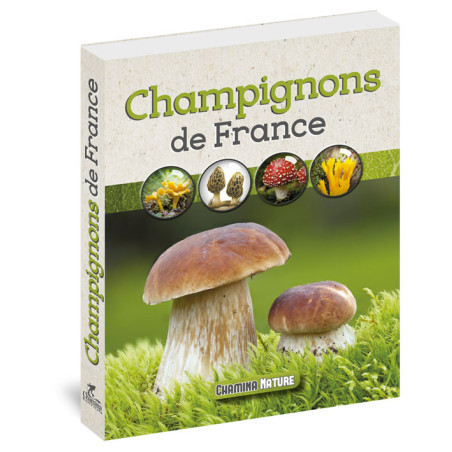 Carte randonnée CHAMPIGNONS DE FRANCE