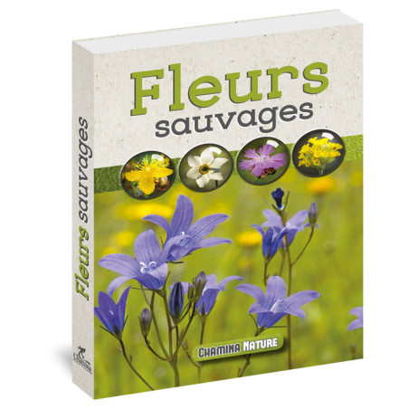 Carte randonnée FLEURS SAUVAGES