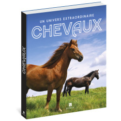 Carte randonnée CHEVAUX, UN UNIVERS EXTRAORDINAIRE