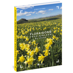 Carte randonnée FLORAISONS PRODIGIEUSES EN FRANCE