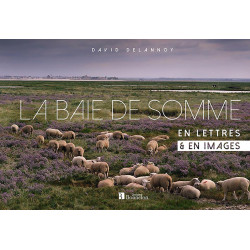 Carte randonnée LA BAIE DE SOMME EN LETTRES ET EN IMAGES