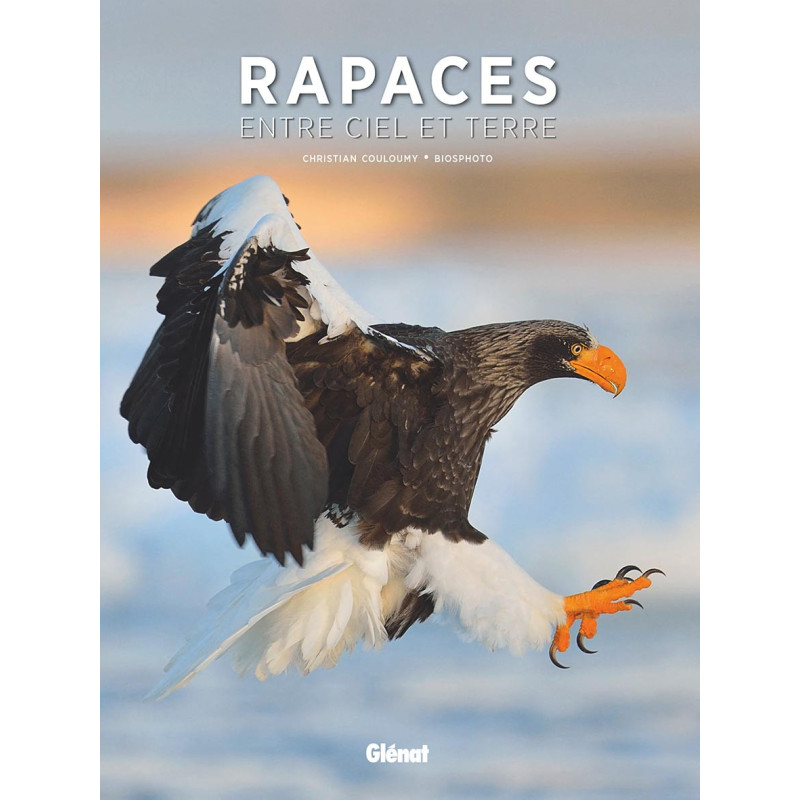 Livre RAPACES ENTRE CIEL ET TERRE