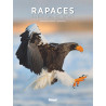 Livre RAPACES ENTRE CIEL ET TERRE