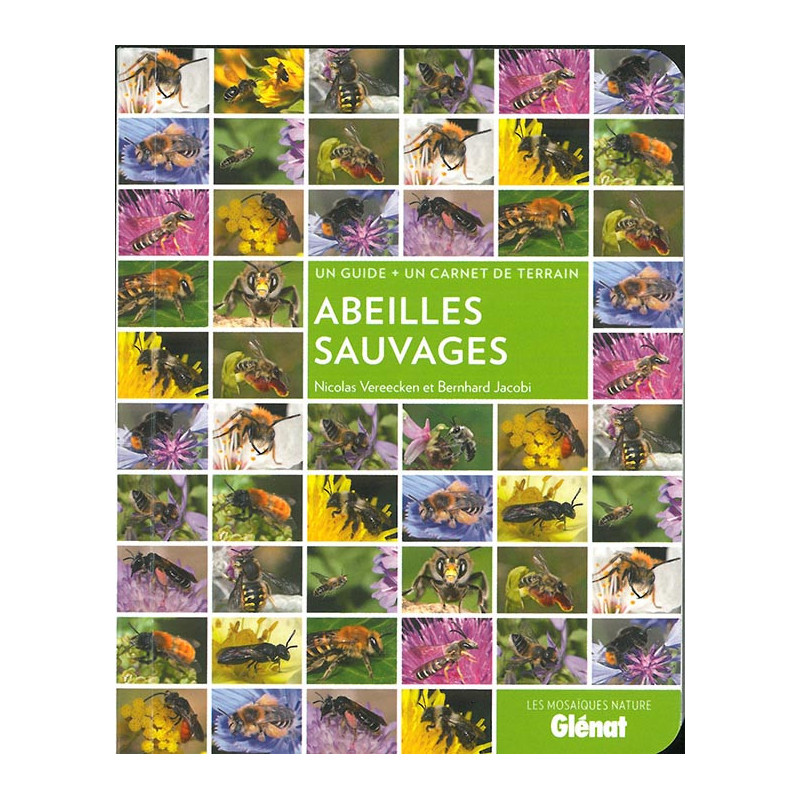 Livre ABEILLES SAUVAGES Livre ABEILLES SAUVAGES