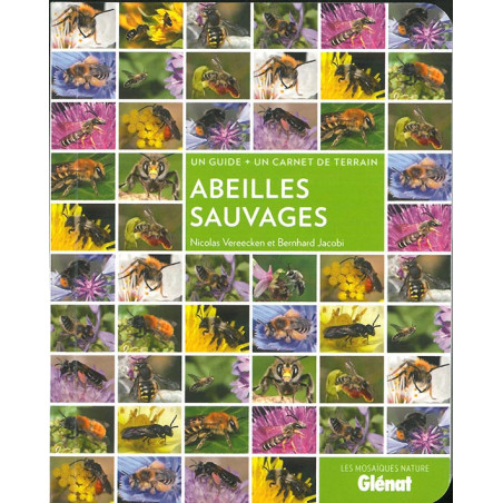 Livre ABEILLES SAUVAGES