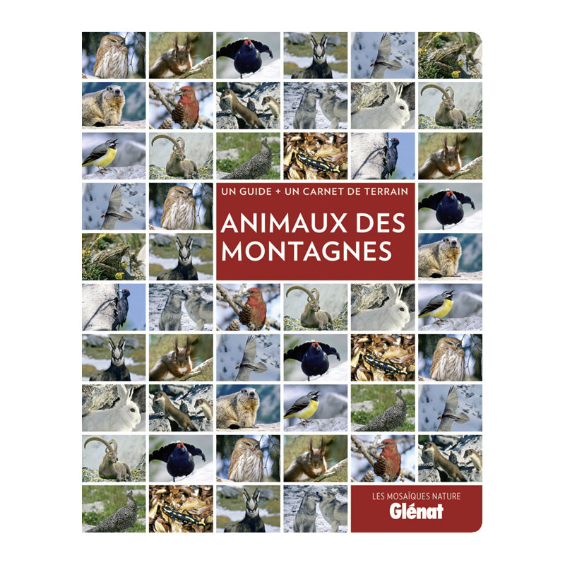 Livre ANIMAUX DES MONTAGNES Livre ANIMAUX DES MONTAGNES