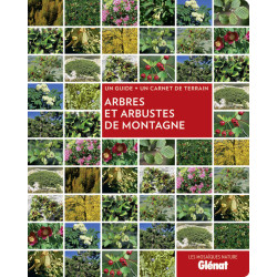 Livre ARBRES ET ARBUSTES DE MONTAGNE