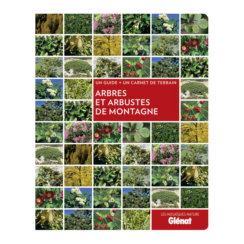 Livre ARBRES ET ARBUSTES DE MONTAGNE Livre ARBRES ET ARBUSTES DE MONTAGNE