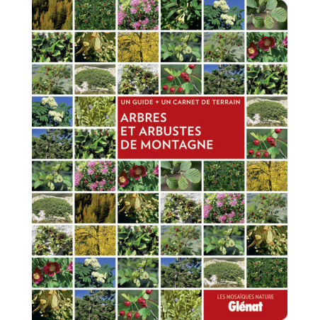 Livre ARBRES ET ARBUSTES DE MONTAGNE