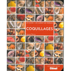 Livre COQUILLAGES