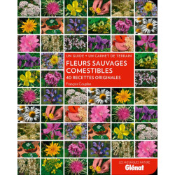Carte randonnée FLEURS SAUVAGES COMESTIBLES