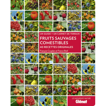 Carte randonnée FRUITS SAUVAGES COMESTIBLES