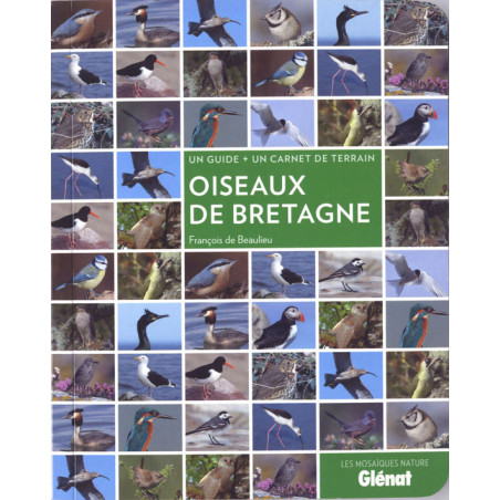 Livre OISEAUX DE BRETAGNE