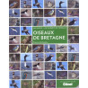 Livre OISEAUX DE BRETAGNE