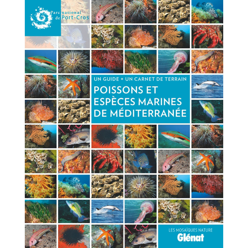 Livre POISSONS ET ESPÈCES MARINES DE MÉDITERRANÉE Livre POISSONS ET ESPÈCES MARINES DE MÉDITERRANÉE