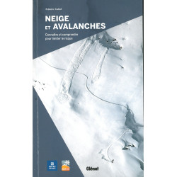 Livre NEIGE ET AVALANCHES - CONNAITRE ET COMPRENDRE POUR LIMITER  LE RISQUE