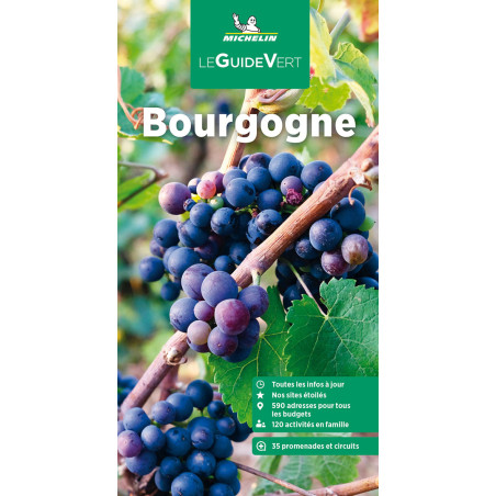 Guide culturel et tourisme Michelin BOURGOGNE