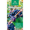 Guide culturel et tourisme Michelin BOURGOGNE
