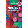 Guide touristique et routière Michelin - MEXIQUE