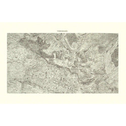 Carte CHASSE DU ROI-VERSAILLES 74 CM X 105 CM