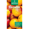 Guide touristique et routière Michelin - LORRAINE VERDUN-NANCY-METZ-MASSIF DES VOSGES