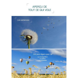 Carte randonnée RÊVE D'ICARE - L'ESSENTIEL SUR TOUT CE QUI VOLE