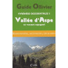 Achat Topo alpinisme - Guide Ollivier Pyrénées occidentales - Vallée d'Aspe et versant espagnol - Cairn