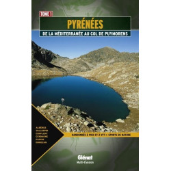 Achat Guide VTT - Pyrénées,...