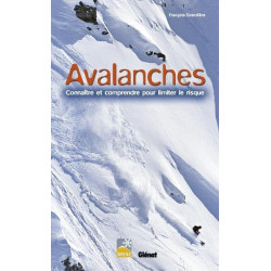 Achat Avalanches,Connaître et comprendre pour limiter le risque - Glénat